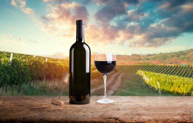 Tuscany, İtalya 'da üzüm bağında kırmızı şarap