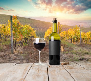 Gün batımında çekilmiş bir üzüm bağının geniş panoramik görüntüsü.