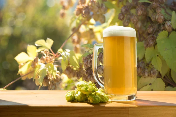 Bierfass mit Bierglas auf Tisch auf Holzgrund — Stockfoto