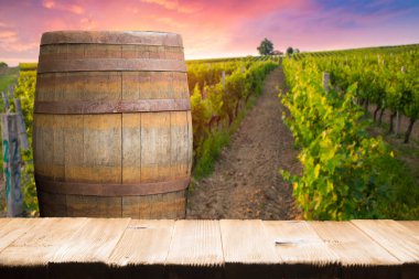 Olgun Şaraplık üzüm Toskana, İtalya üzerinde. Güzel şarap çiftlik, üzüm bağı. Gün batımı ılık ışık