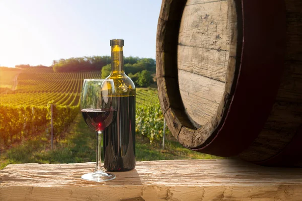 Rijpe Wijndruivenrassen Wijnstokken Toscane Italië Pittoreske Wijnboerderij Wijngaard Zonsondergang Warm — Stockfoto