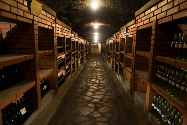 Спелые виноград на виноградных лозах в Тоскане, Италия. Живописная винная ферма, виноградник. Теплый свет заката
