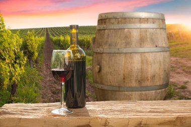 Olgun Şaraplık üzüm Toskana, İtalya üzerinde. Güzel şarap çiftlik, üzüm bağı. Gün batımı ılık ışık