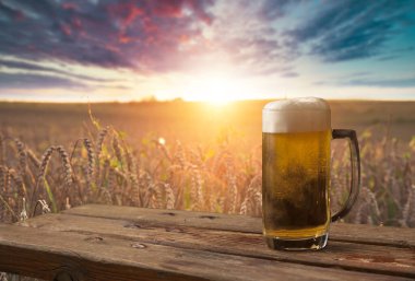 Tahta meşe varili beyaz arkaplanda izole edilmiş.