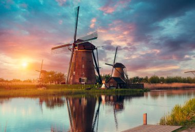 Lale çiftlikte dramatik bahar sahne. Renkli günbatımı Hollanda, Europe.