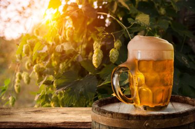 Tahta meşe varili beyaz arkaplanda izole edilmiş.