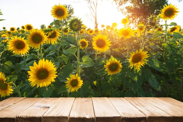 Zonnebloempitten Zak Zonnebloempitten Jute Zak Houten Tafel Met Gebied Van — Stockfoto