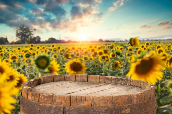 sunflower seeds in sack. Sunflower seeds in burlap bag on wooden table with field of sunflower on the background. Sunflower field with blue sky. Photo with copy space area for a text.