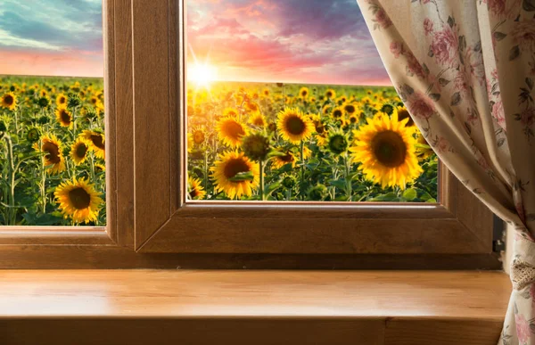 sunflower seeds in sack. Sunflower seeds in burlap bag on wooden table with field of sunflower on the background. Sunflower field with blue sky. Photo with copy space area for a text.