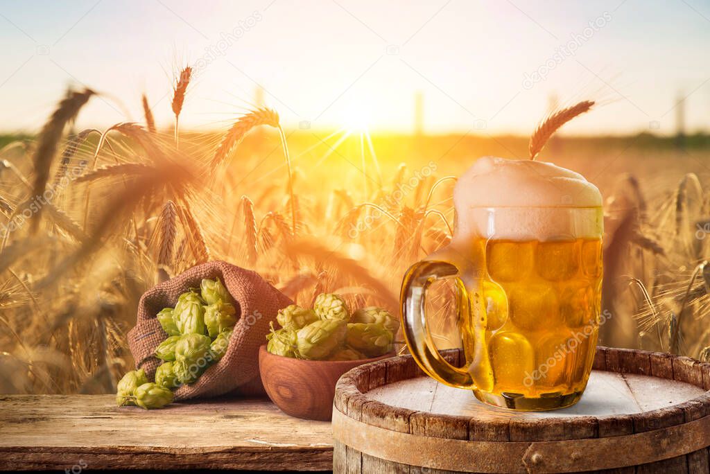 Beer brewing ingredients Hop in bag and wheat ears on wooden cracked old table. Beer brewery concept. Hop cones and wheat closeup. Sack of hops and sheaf of wheat on vintage background.