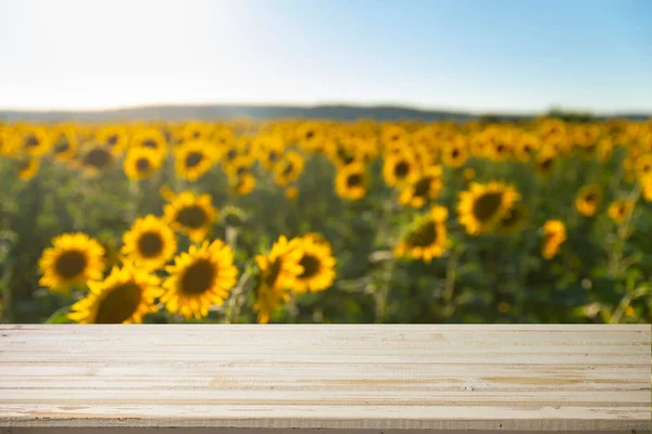 Zonnebloempitten Zak Zonnebloempitten Jute Zak Houten Tafel Met Gebied Van — Stockfoto