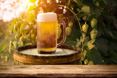 Karanlık bir barda bir bardak light bira..