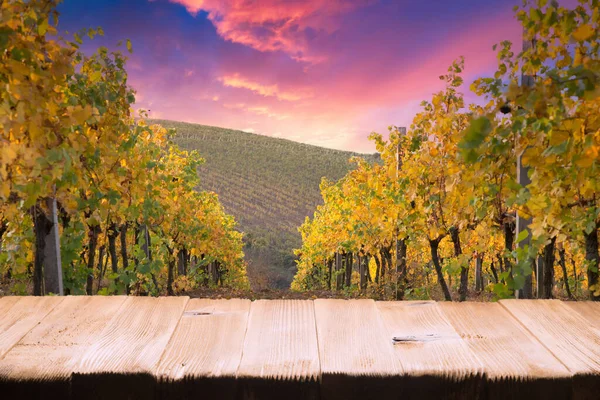 Beautiful Landscape Vineyards Tuscany Chianti Region Summer Season Italy — Stock Photo, Image