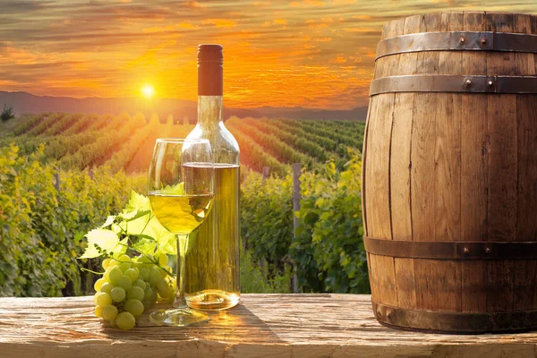 有葡萄的葡萄酒和有阳光背景的大麦 意大利托斯卡纳与葡萄和桶在阳光的背景 意大利托斯卡纳地区 高质量的照片 — 图库照片