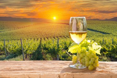 İtalyan Chianti, Toskana 'daki ünlü üzüm bağında fıçılı beyaz şarap. Yüksek kalite fotoğraf