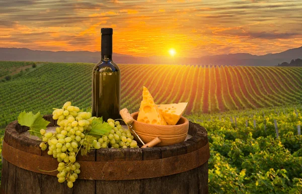 Vino Bianco Con Botte Famoso Vigneto Chianti Toscana Italia Foto — Foto Stock