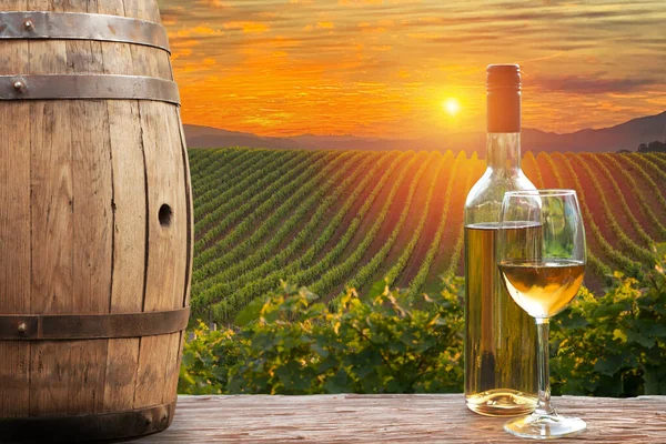 意大利托斯卡纳 奇安提著名葡萄园上的白葡萄酒和酒桶 高质量的照片 — 图库照片