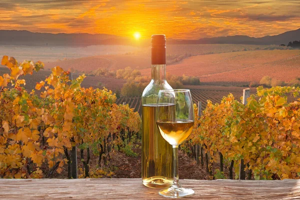 Weißwein Mit Fass Auf Dem Berühmten Weinberg Chianti Toskana Italien Stockbild