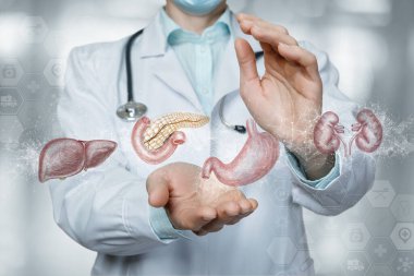Hastanın iç organlarının tıbbi koruma kavramları. Doktor iç organları koruyucu bir hareketle korur..