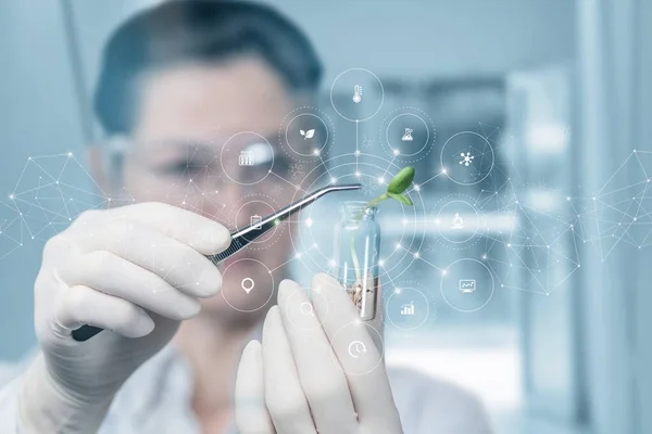 Trabajador Laboratorio Lleva Cabo Una Investigación Con Una Muestra Planta — Foto de Stock