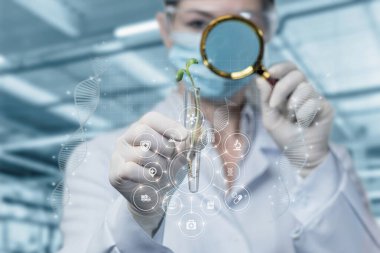 İlaç üretimi için bitki örnekleriyle bilimsel araştırma yapma kavramı.
