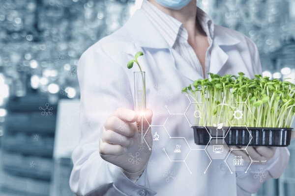 Plant biotechnology research concept. The laboratory assistant shows a test tube with a plant sample on a blurred background.