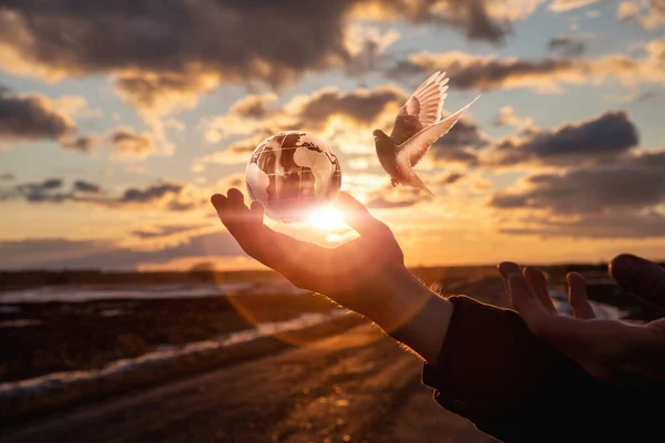 평화의 은지나가는 과나는 비둘기를 배경으로 지구를 — 스톡 사진