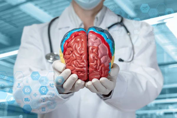 Conceptos Estudio Las Funciones Cerebrales Doctor Mostrando Cerebro Sobre Fondo — Foto de Stock