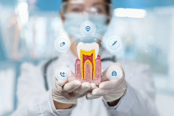 Zahnarzt Zeigt Zahn Auf Virtuellem Hintergrund — Stockfoto