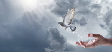 Dua kavramları ve dünya barışı için umut.