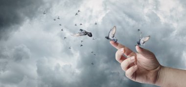 Umut ve barış için dua kavramı. Küçük güvercinler elleriyle gökyüzüne salınıyor..