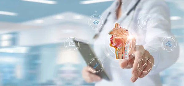 Doctor clicks on a virtual computer screen on the anatomy of the mucous membranes of the throat and nose.