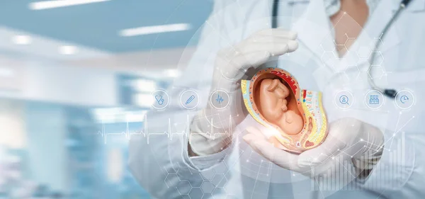 Conceito Tecnologias Modernas Tratamento Diagnósticos Embrião Uma Criança — Fotografia de Stock