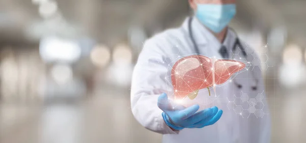 Doctor Mostrando Hígado Pantalla Del Ordenador Virtual —  Fotos de Stock