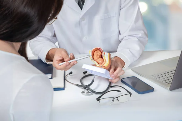 Doctor shows the fetus of the child at the table in the office.