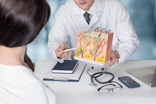 Doctor Showing Skin Anatomy Model Patients Office — Stock Fotó