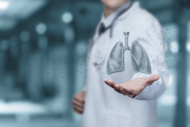 The doctor shows a sketch of the lungs against the background of a network of connections.