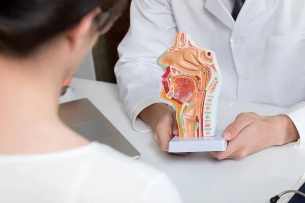 Doctor Shows Anatomy Mucous Membrane Throat Nose — Stockfoto