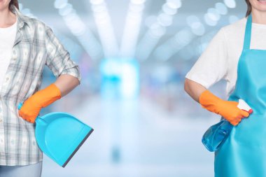 The concept of providing cleaning services. Cleaning ladies on a blurred background