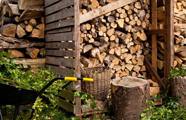 Log with Tree Stumps and Wheelbarrow — Stock Photo, Image