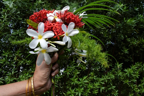 Female Holding Wishing Handmade Gift Bouquet Bunch Flowers Plumeria Ixora — Stock Photo, Image