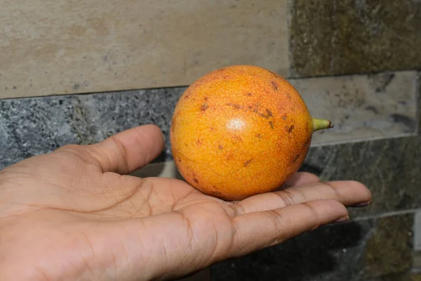 Persoon Die Passievruchten Zijn Hand Heeft Glanzend Geel Oranje Kleur — Stockfoto