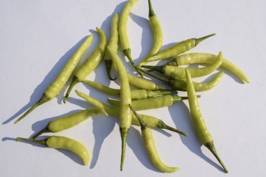 Açık yeşil biber, açık yeşil biber sıraya dizilmiş. Beyaz arka planda taze organik Hint sebzeleri