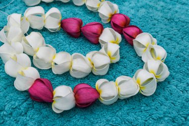 Beyaz şampanyadan, kırmızı şampanyadan ya da frangipani çiçeklerinden yapılmış güzel bir çelenk. Tanrı 'ya ibadet etmesi için el yapımı mala ya da festival sırasında saç aksesuarı ya da dekorasyon olarak sunuldu