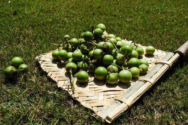 Indiaas Fruit Groen Geurende Manjack Snotterige Knabbels Ook Bekend Als — Stockfoto