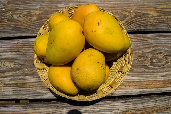 Tasty Indian Mangoes Basket Badami Mango Fruit Sweet Taste Also — Stockfoto