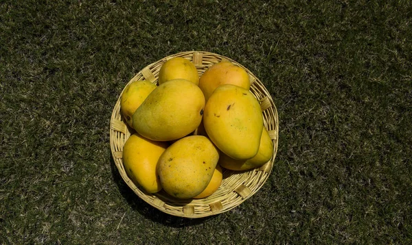 Verse Mango Vruchten Een Mand Gras Achtergrond Stockfoto