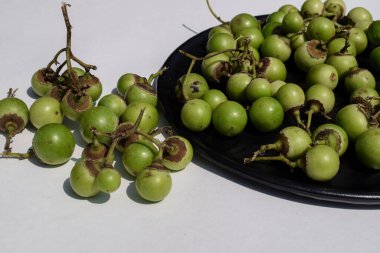 Hint meyvesi, yeşil kokulu manjack ya da sümüklü sümüklü goblen, tutkal çileği, kuş limonu ağacı, Hint kirazı, Lasoda ya da Gunda olarak da bilinir. Bu meyveler popüler Hint turşusu ve sabji yapımında kullanılır.