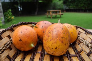Hasır sepette tutku meyveleri. Sarı çarkıfelek meyvesi. Nefis tutku meyvesi, tek başına avucunun içinde. Açık havada tutku meyvesi