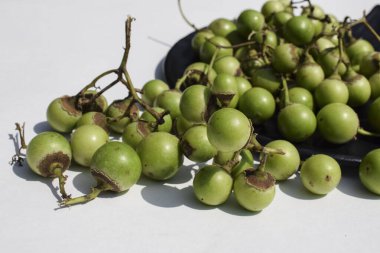 Hint meyvesi, yeşil kokulu manjack ya da sümüklü sümüklü goblen, tutkal çileği, kuş limonu ağacı, Hint kirazı, Lasoda ya da Gunda olarak da bilinir. Bu meyveler popüler Hint turşusu ve sabji yapımında kullanılır.